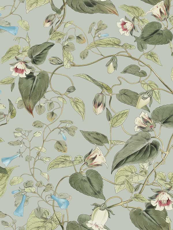 Moon Flower fabric in dove color - pattern number BL1712 - by York in the Blooms Second Edition collection
