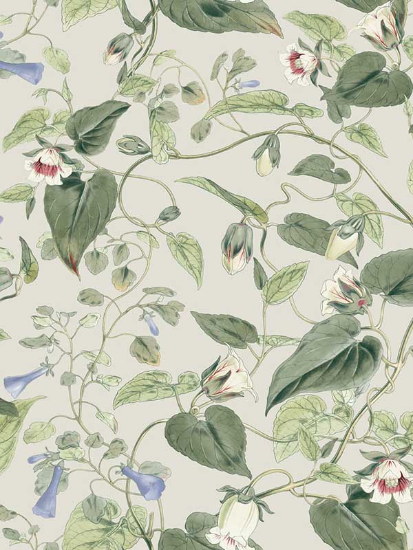 Moon Flower fabric in light taupe color - pattern number BL1713 - by York in the Blooms Second Edition collection