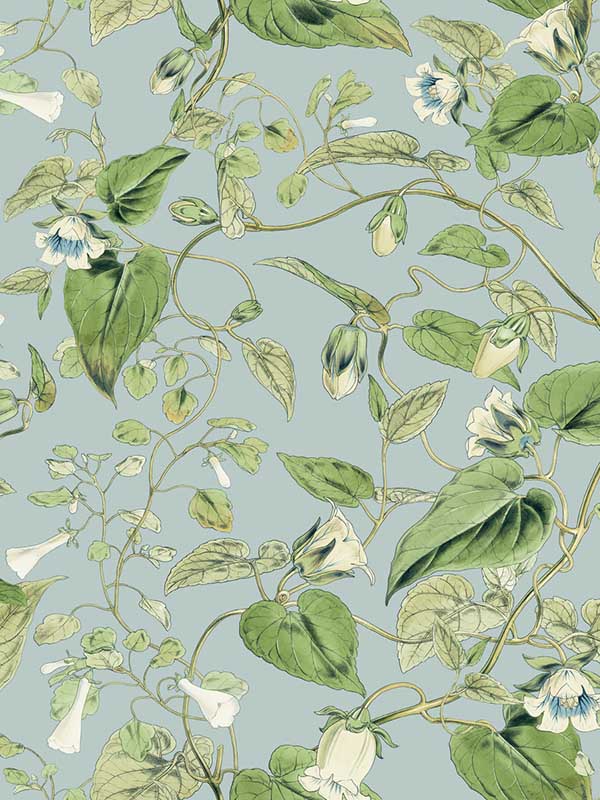 Moon Flower fabric in sky blue color - pattern number BL1714 - by York in the Blooms Second Edition collection
