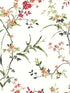 Blossom Branches fabric in white and red color - pattern number BL1741 - by York in the Blooms Second Edition collection