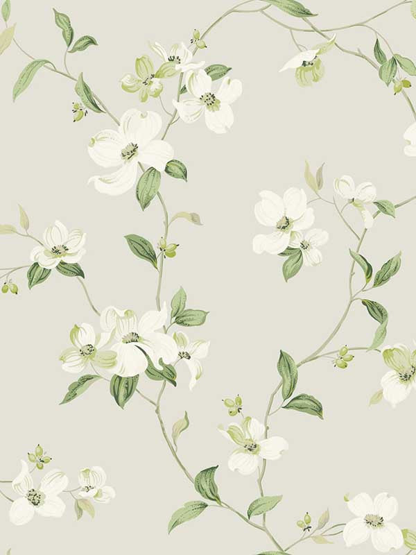 Dogwood wallpaper in light grey color - pattern number BL1762 - by York in the Blooms Second Edition collection