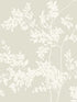 Lunaria Silhouette fabric in light taupe and white color - pattern number BL1805 - by York in the Blooms Second Edition collection