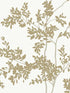 Lunaria Silhouette fabric in white and gold color - pattern number BL1806 - by York in the Blooms Second Edition collection