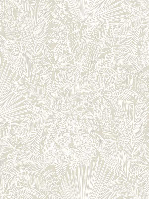 Vita Botanical fabric in off white color - pattern number 4120-26805 - by A Street Prints in the Middleton collection