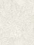 Vita Botanical fabric in off white color - pattern number 4120-26805 - by A Street Prints in the Middleton collection