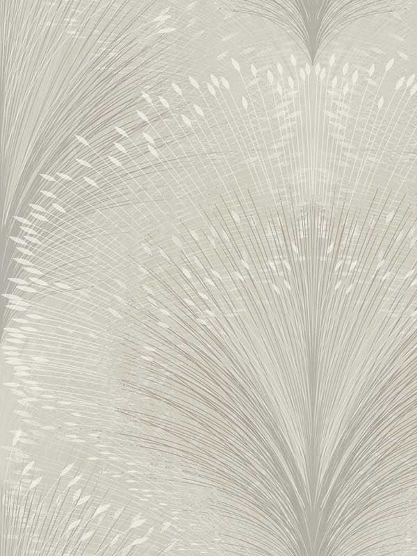 Papyrus Plume wallpaper in grey color - pattern number OI0684 - by York in the New Origins collection