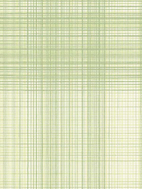 Madras Plaid wallpaper in green color - pattern number 4071-71042 - by Chesapeake in the Blue Heron collection