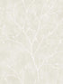 Avena Branches fabric in soft cream color - pattern number EW10205 - by Seabrook in the White Heron collection