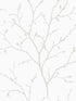Branching Out wallpaper in winter grey color - pattern number EW11808 - by Seabrook in the White Heron collection