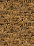 Tamarind wallpaper in sola color - pattern number WTK21006.WT.0 - by Winfield Thybony in the The Keys collection