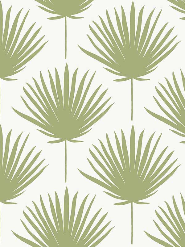 Shore Front wallpaper in avocado color - pattern number WTK21204.WT.0 - by Winfield Thybony in the The Keys collection