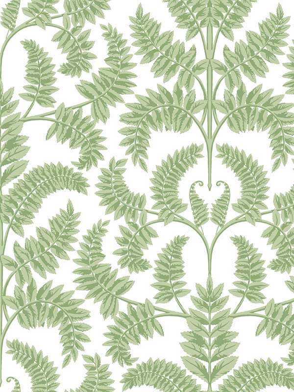 Royal Fern Damask fabric in green color - pattern number DM4961 - by York in the Inspired by Color Earthy Tones collection