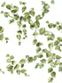Creeping Fig Vine fabric in green color - pattern number FH4036 - by York in the Inspired by Color Earthy Tones collection