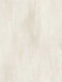 Stucco Finish wallpaper in tan color - pattern number MN1900 - by York in the Inspired by Color Earthy Tones collection