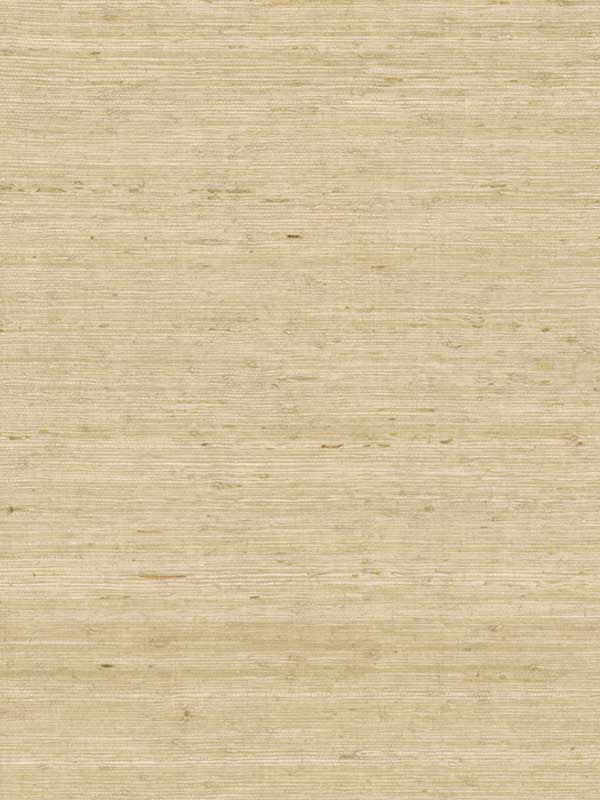Arrowroot fabric in cream color - pattern number CV4401 - by York in the Inspired by Color Grasscloth II collection