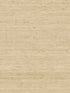 Arrowroot fabric in cream color - pattern number CV4401 - by York in the Inspired by Color Grasscloth II collection