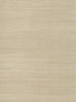Sisal Grasscloth fabric in wheat color - pattern number GC0700 - by York in the Inspired by Color Grasscloth II collection