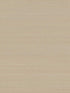Abaca Weave fabric in beige color - pattern number GL0501 - by York in the Inspired by Color Grasscloth II collection