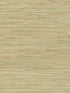 River Grass fabric in green color - pattern number NZ0780 - by York in the Inspired by Color Grasscloth II collection
