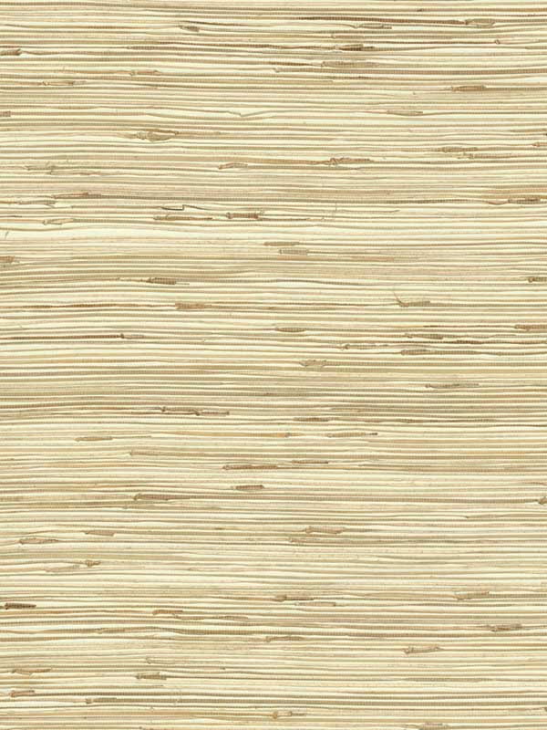 River Grass fabric in beige color - pattern number NZ0781 - by York in the Inspired by Color Grasscloth II collection