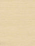 Plain Grass wallpaper in beige color - pattern number VG4400 - by York in the Inspired by Color Grasscloth II collection