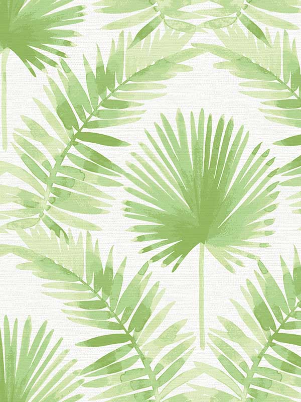 Calla Painted Palm fabric in green color - pattern number 4121-26911 - by A Street Prints in the Mylos collection