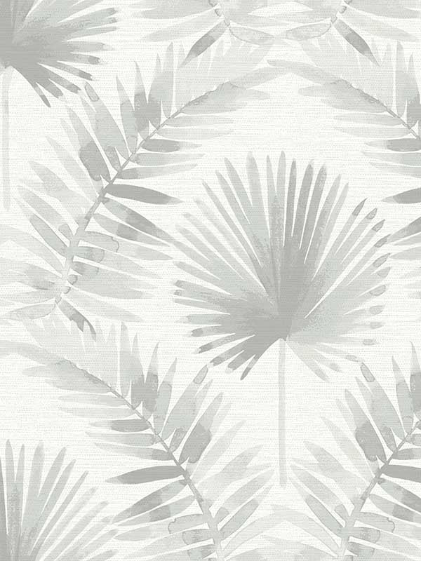 Calla Painted Palm fabric in grey color - pattern number 4121-26915 - by A Street Prints in the Mylos collection
