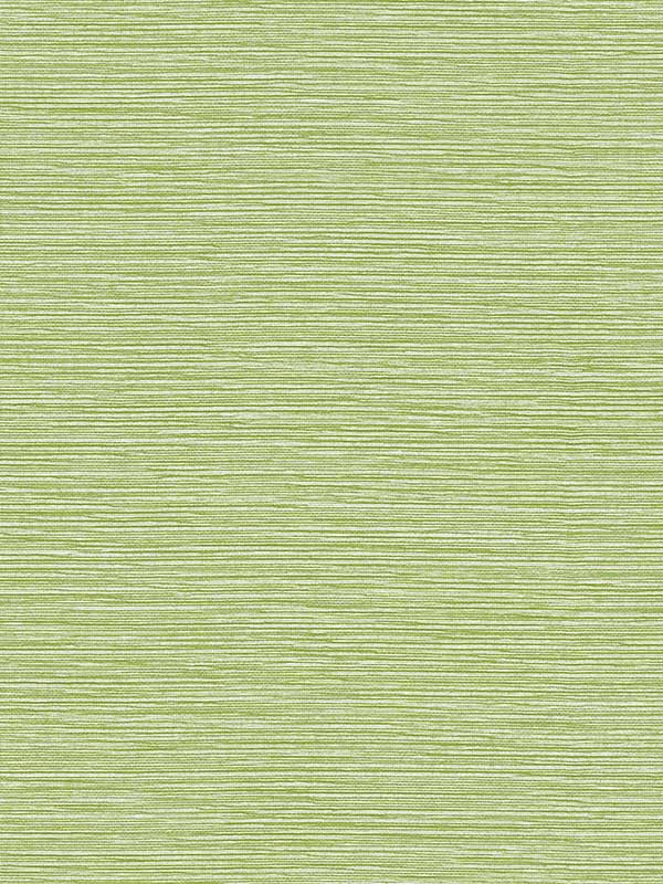Tiger Island Faux Sisal fabric in meadow color - pattern number LN40404 - by Seabrook in the Lillian August Coastal Haven collection