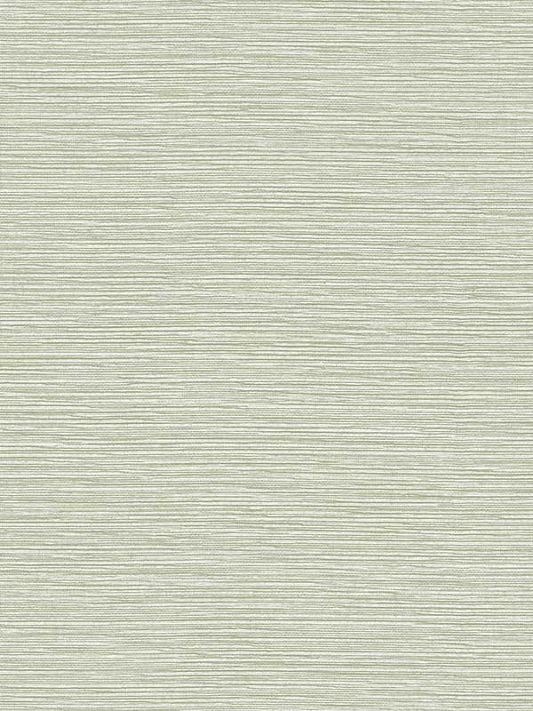 Tiger Island Faux Sisal fabric in aloe color - pattern number LN40414 - by Seabrook in the Lillian August Coastal Haven collection