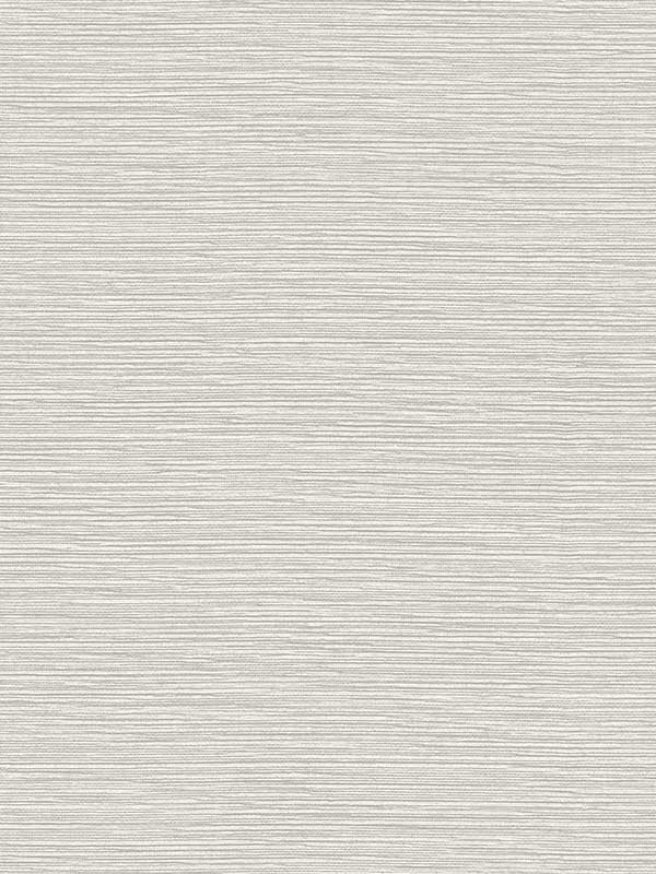 Tiger Island Faux Sisal fabric in sea salt color - pattern number LN40418 - by Seabrook in the Lillian August Coastal Haven collection