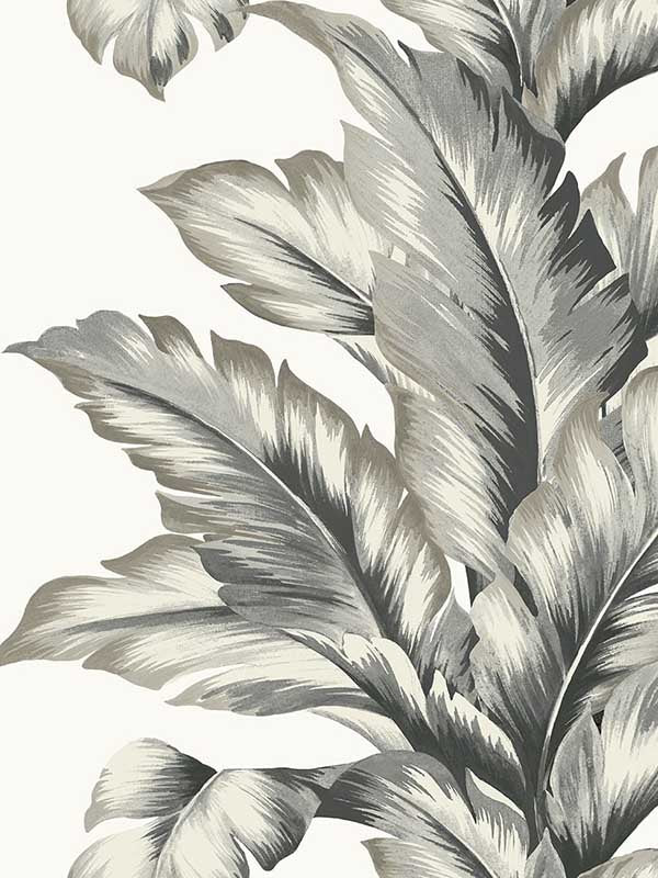Banana Springs wallpaper in greystone color - pattern number LN40600 - by Seabrook in the Lillian August Coastal Haven collection