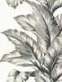 Banana Springs wallpaper in greystone color - pattern number LN40600 - by Seabrook in the Lillian August Coastal Haven collection