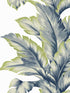 Banana Springs wallpaper in deep sea color - pattern number LN40602 - by Seabrook in the Lillian August Coastal Haven collection