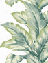 Banana Springs wallpaper in rivercrest color - pattern number LN40604 - by Seabrook in the Lillian August Coastal Haven collection