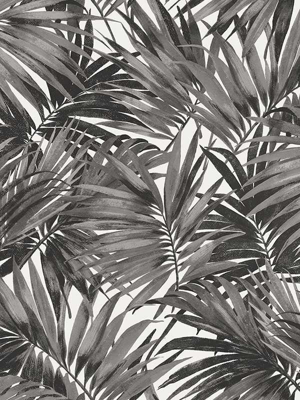 Cordelia Tossed Palms wallpaper in onyx color - pattern number LN40700 - by Seabrook in the Lillian August Coastal Haven collection