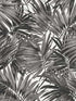 Cordelia Tossed Palms wallpaper in onyx color - pattern number LN40700 - by Seabrook in the Lillian August Coastal Haven collection