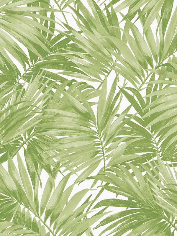 Cordelia Tossed Palms wallpaper in spring green color - pattern number LN40704 - by Seabrook in the Lillian August Coastal Haven collection