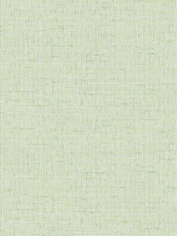 Kaya Faux Paperweave wallpaper in meadow color - pattern number LN41304 - by Seabrook in the Lillian August Coastal Haven collection