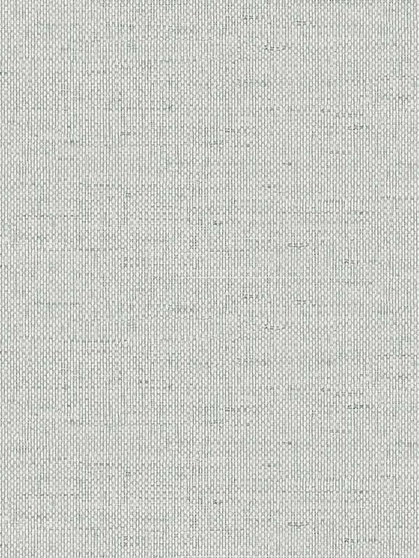 Kaya Faux Paperweave wallpaper in harbor mist color - pattern number LN41308 - by Seabrook in the Lillian August Coastal Haven collection