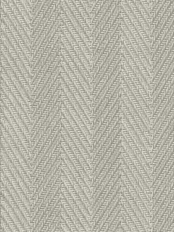 Throw Knit fabric in cafe au lait color - pattern number TG60209 - by Dupont in the Tedlar Textures collection
