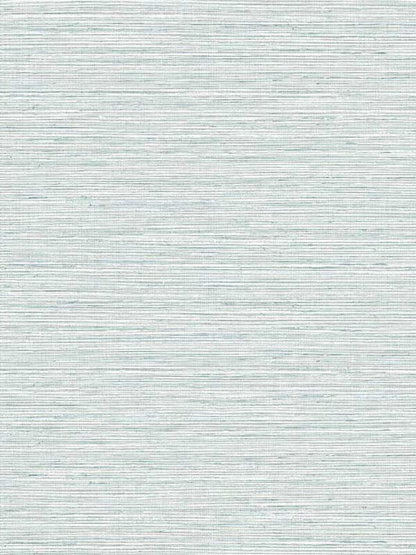 Edmond Faux Sisal fabric in ripple color - pattern number TG60308 - by Dupont in the Tedlar Textures collection