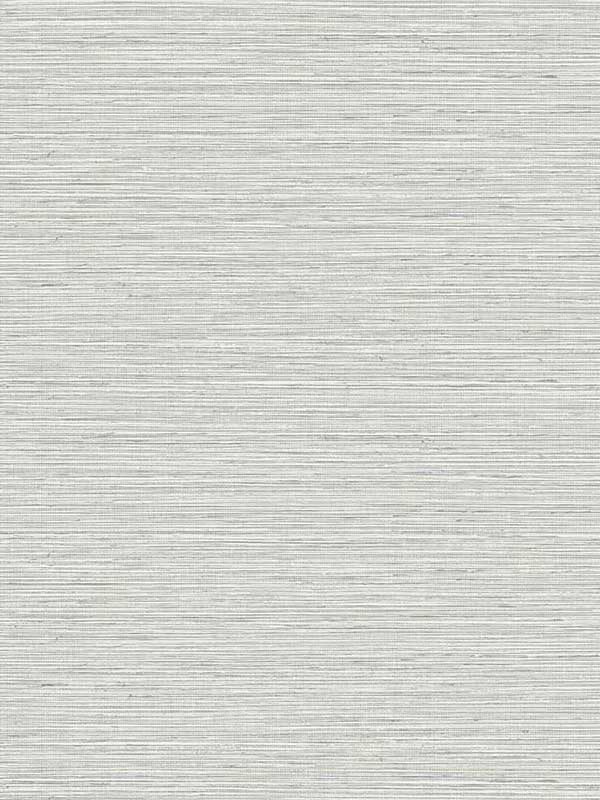 Edmond Faux Sisal fabric in dove grey color - pattern number TG60333 - by Dupont in the Tedlar Textures collection