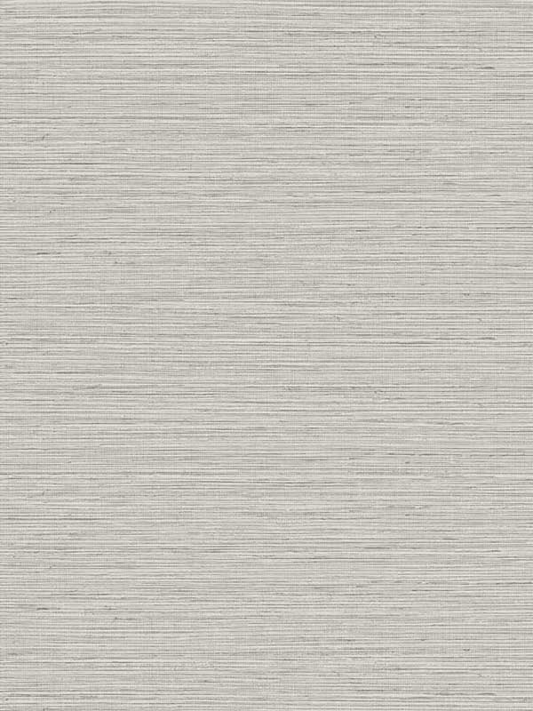 Edmond Faux Sisal fabric in warm macadamia color - pattern number TG60334 - by Dupont in the Tedlar Textures collection
