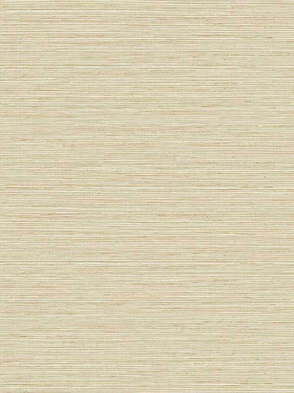 Edmond Faux Sisal fabric in barley color - pattern number TG60338 - by Dupont in the Tedlar Textures collection