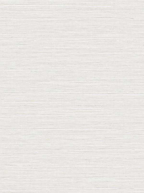 Edmond Faux Sisal fabric in owl gray color - pattern number TG60348 - by Dupont in the Tedlar Textures collection