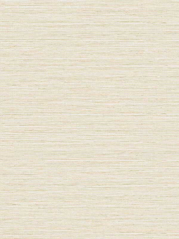 Edmond Faux Sisal fabric in rice color - pattern number TG60349 - by Dupont in the Tedlar Textures collection