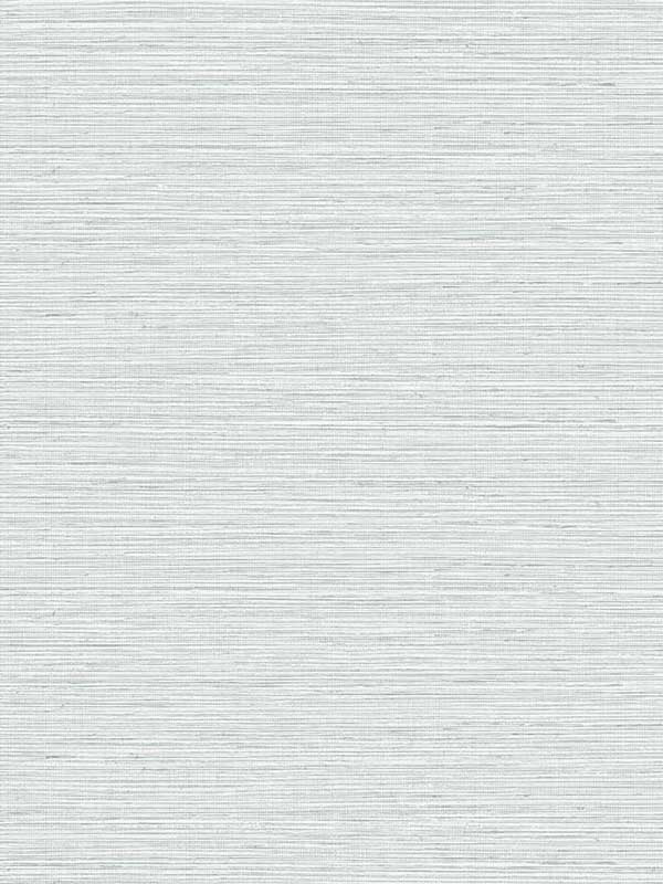 Edmond Faux Sisal fabric in fresh air color - pattern number TG60350 - by Dupont in the Tedlar Textures collection