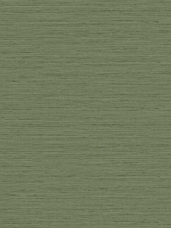Edmond Faux Sisal fabric in faded jade color - pattern number TG60351 - by Dupont in the Tedlar Textures collection
