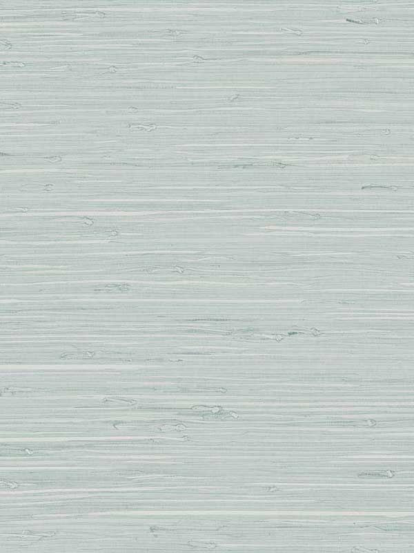 Marion Faux Arrowroot fabric in pale sky color - pattern number TG60519 - by Dupont in the Tedlar Textures collection