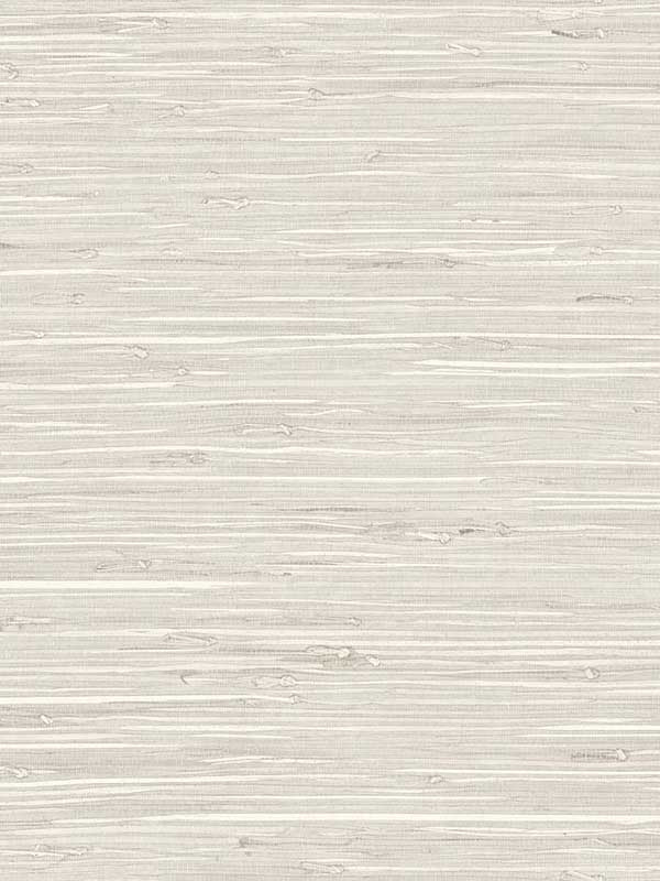 Marion Faux Arrowroot fabric in earl grey color - pattern number TG60528 - by Dupont in the Tedlar Textures collection